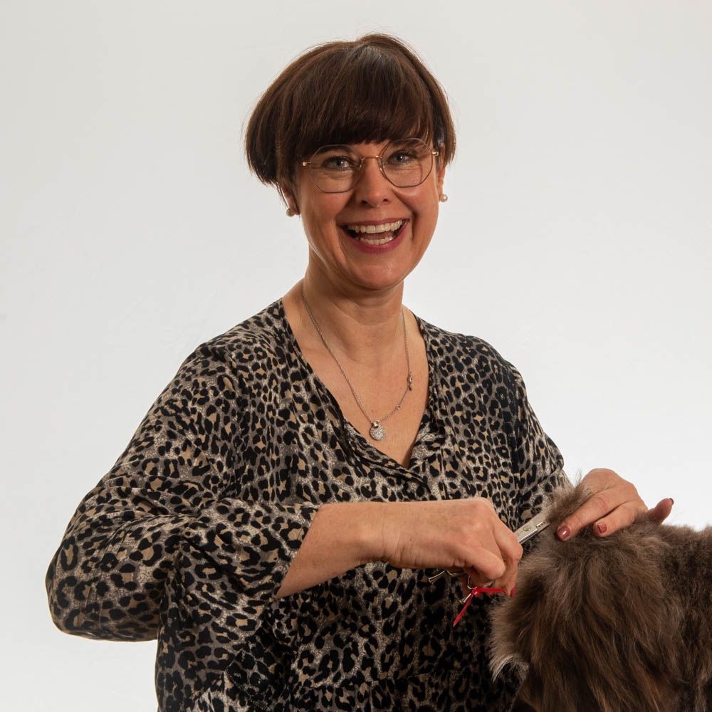 schöngemacht hundefriseur Hallstadt